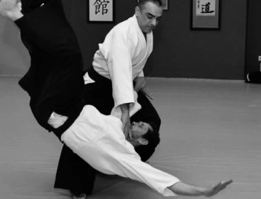 Όταν ο Ρόμπερτ Κένεντι και ο σωματοφύλακάς του έπεσαν θύματα... του Αϊκίντο (βίντεο)